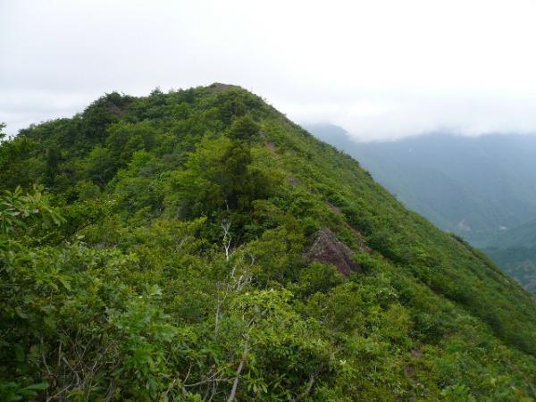 頂上から10分。もうひとつのピーク｢天狗の庭｣を目指します
